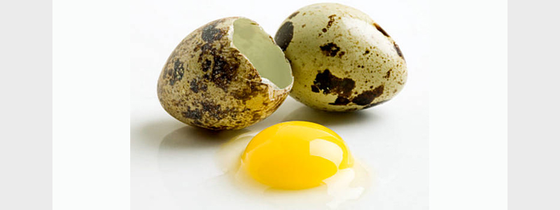 Перепелиные яйца для потенции
